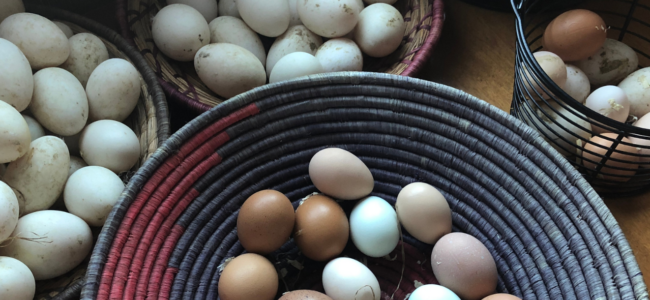 Diversificatie uitgelegd – Hoe risico te minimaliseren en rendement te maximaliseren bij investeren